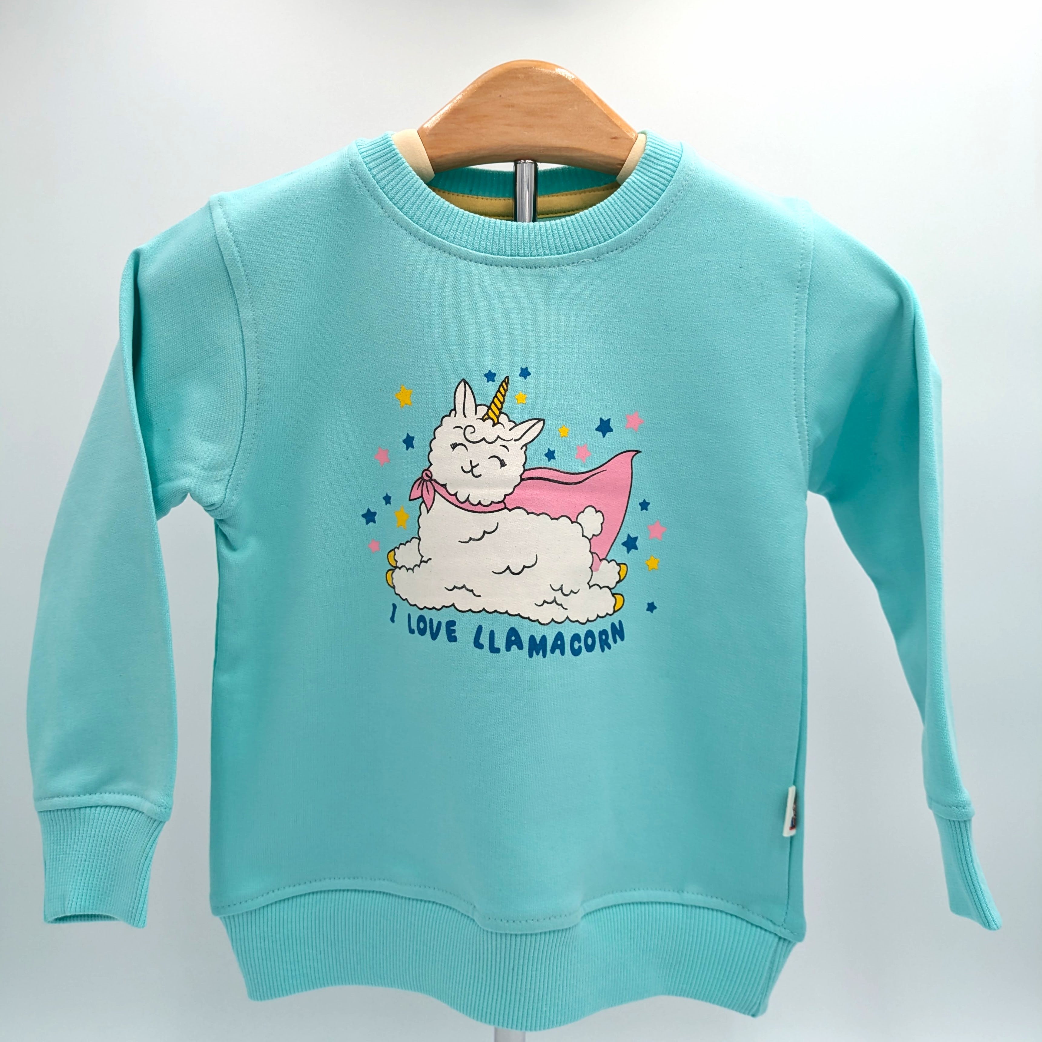 Turquoise sweatshirt with a cartoon llama unicorn design on a white background