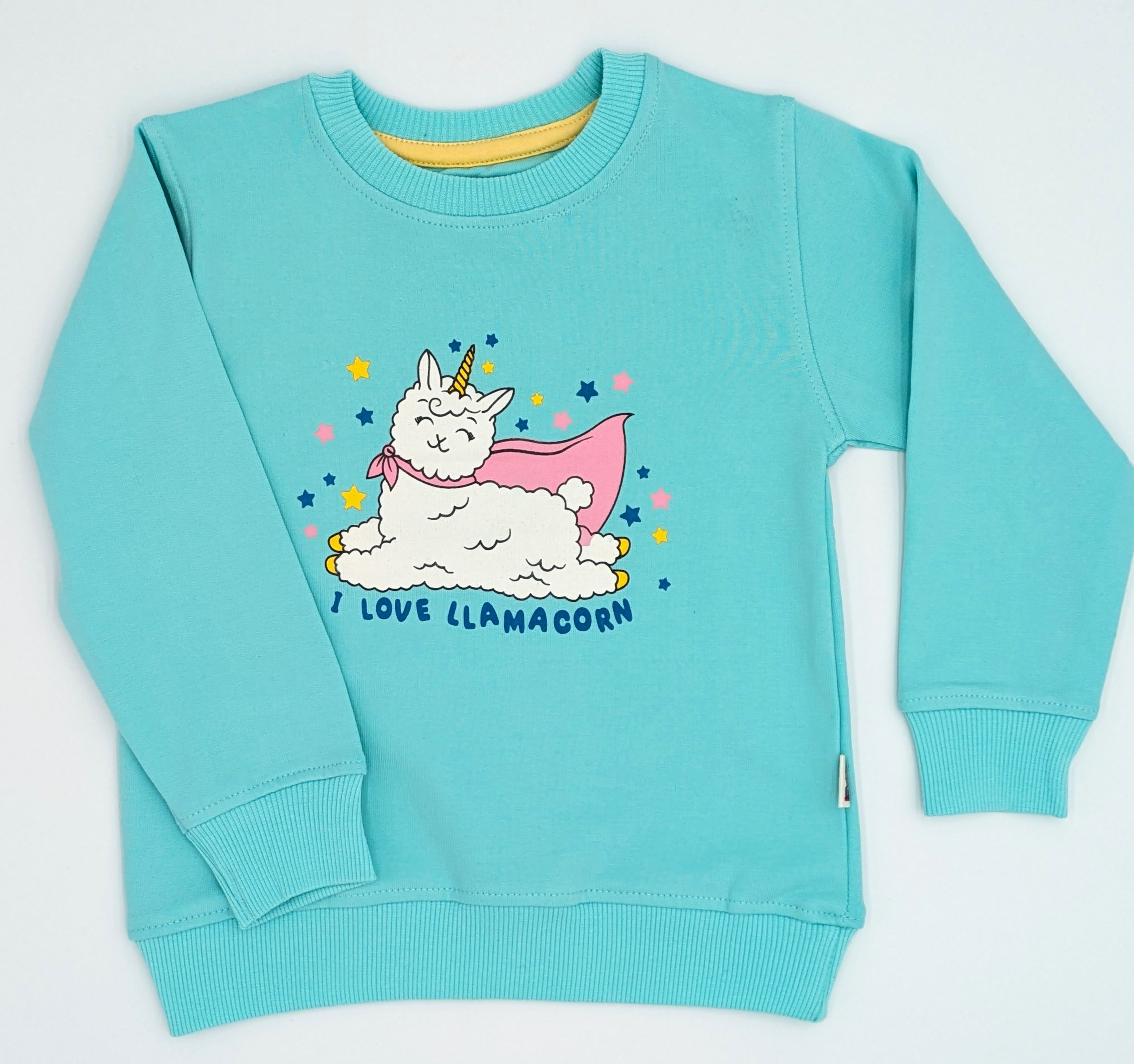 Turquoise sweatshirt with a cartoon llama unicorn design on a white background