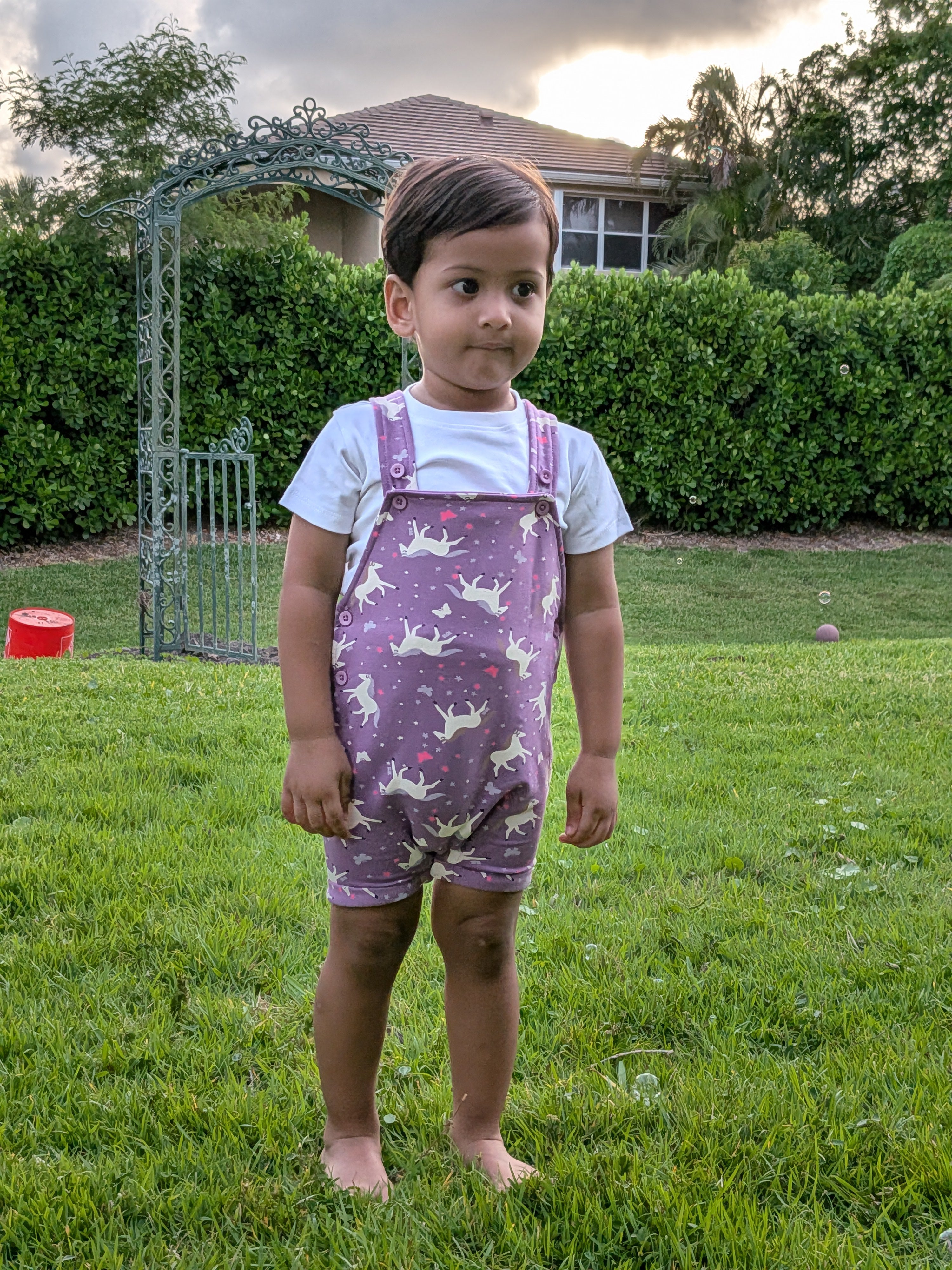 Toddler standing outdoors at sunset wearing MulmulBaby Lavender Horses organic cotton dungaree overalls set